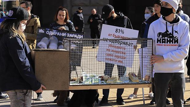 Започна проверка на фермата за норки
